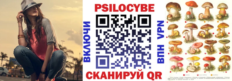 Купить где  Томмот  Псилоцибиновые грибы Magic Shrooms 