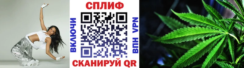 Бошки марихуана Ganja  Купить где  Томмот 